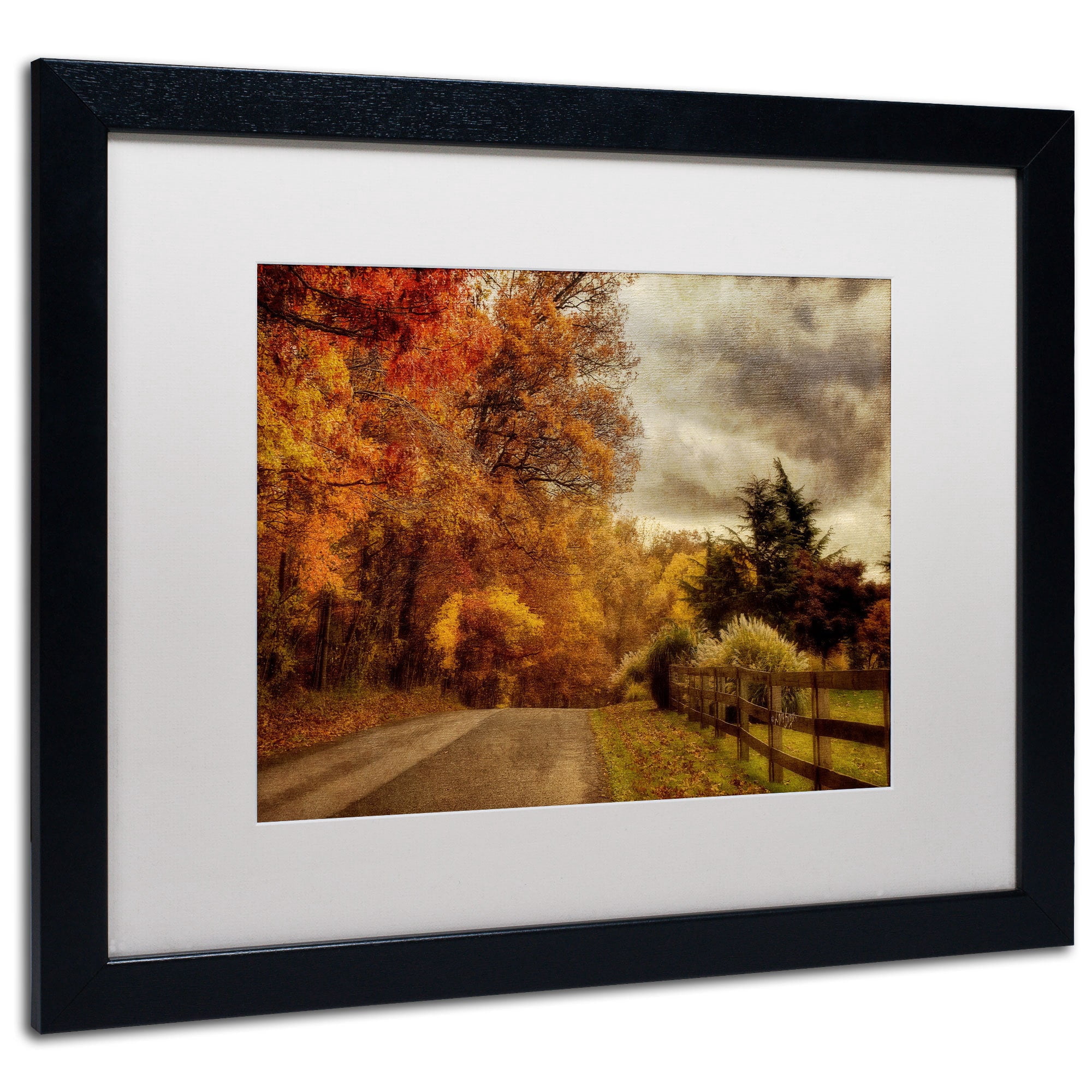 Trademark Fine Art "And the Seasons They Go Round and Round" Canvas Art by Lois Bryan, White Mat, Wood Frame