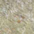 thumbnail image 3 of Ilosky, Pam 12x12 Black Modern Framed Museum Art Print Titled - Shell Squares II, 3 of 5