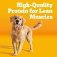 thumbnail image 4 of Pedigree High Protein Adult Dry Dog Food, Beef and Lamb Flavor, 27 lb. Bag, 4 of 10
