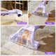 thumbnail image 2 of Aspiradora Inse 1 Litro 450 Watts C9S Equipo Rociado Cepillado Aspiración para Sofás y Hendiduras Morado, 2 of 9