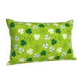 thumbnail image 2 of Disketp Pillow Covers St Patrick'S Day7 Pattern Throw Pillow Case Cushion Covers,Cushion For Bedroom,Couch,Home-16"X24", 2 of 8