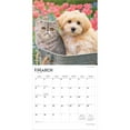 thumbnail image 3 of Kittens & Puppies | 2026 12x24" (Hanging) Square Wall Calendar | Plastic-Free, 3 of 9