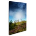 thumbnail image 2 of Trademark Fine Art "Nature's Blanket" Canvas Art by Philippe Sainte-Laudy, 2 of 3