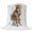 Brown, variant on Funny Alpacas Blanket Soft Cozy Warm Throw Blanket for Couch, Plush Fuzzy Flannel Fleece Blankets for Sofa, Cute Art Fun Lovely Animals on Toilets Bed Blankets Lightweight Gifts for Women, 50"x60"