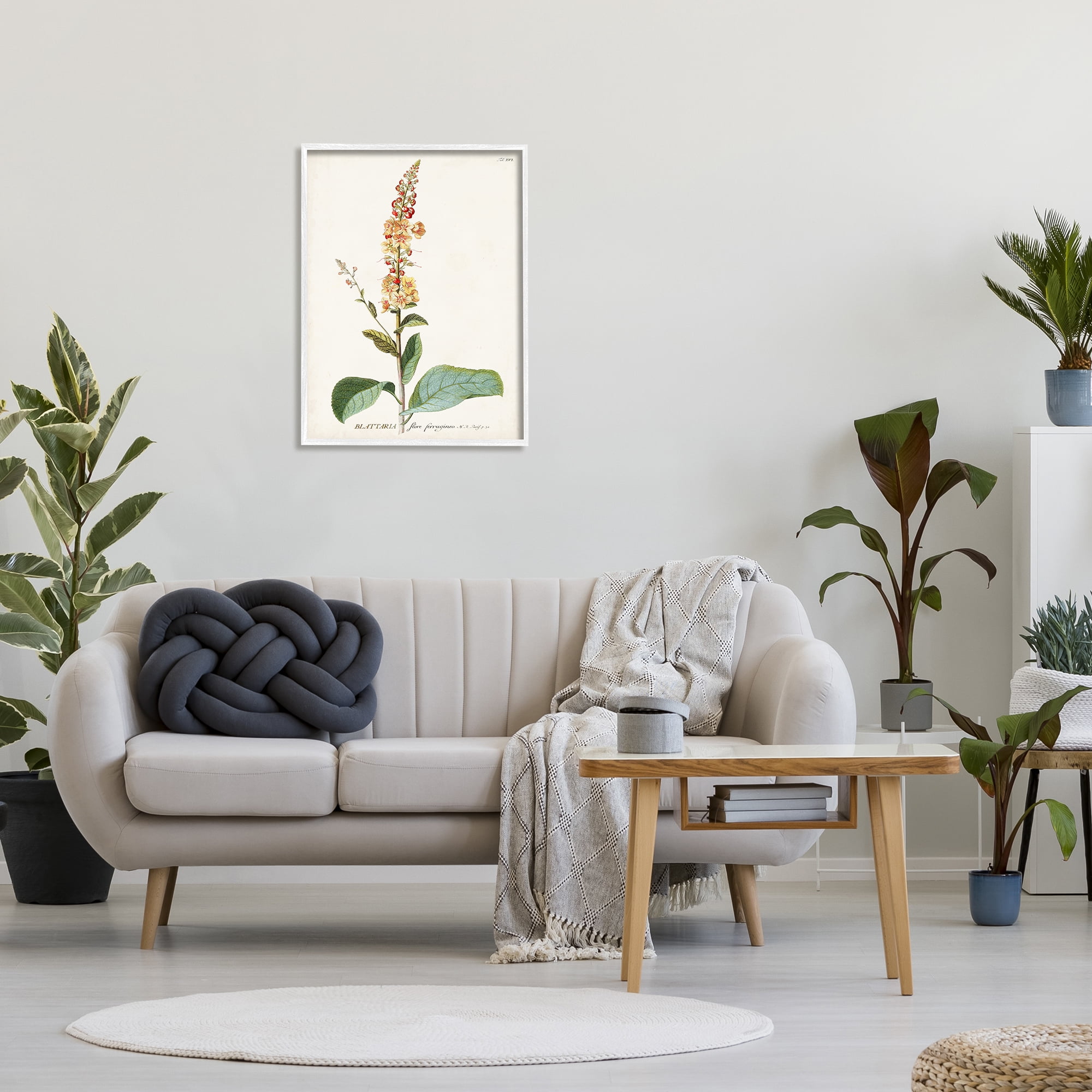 Stupell Industries Botanical Plant Illustration Flowers Vintage Design Drawing Print Framed Art Print Wall Art, 24x30, By World Art Group