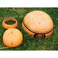 thumbnail image 6 of TomorrowSeeds - Bushel Gourd Seeds - 60+ Count - For 2026 Planting Hard-Shelled Ornamental Gourds, 6 of 9