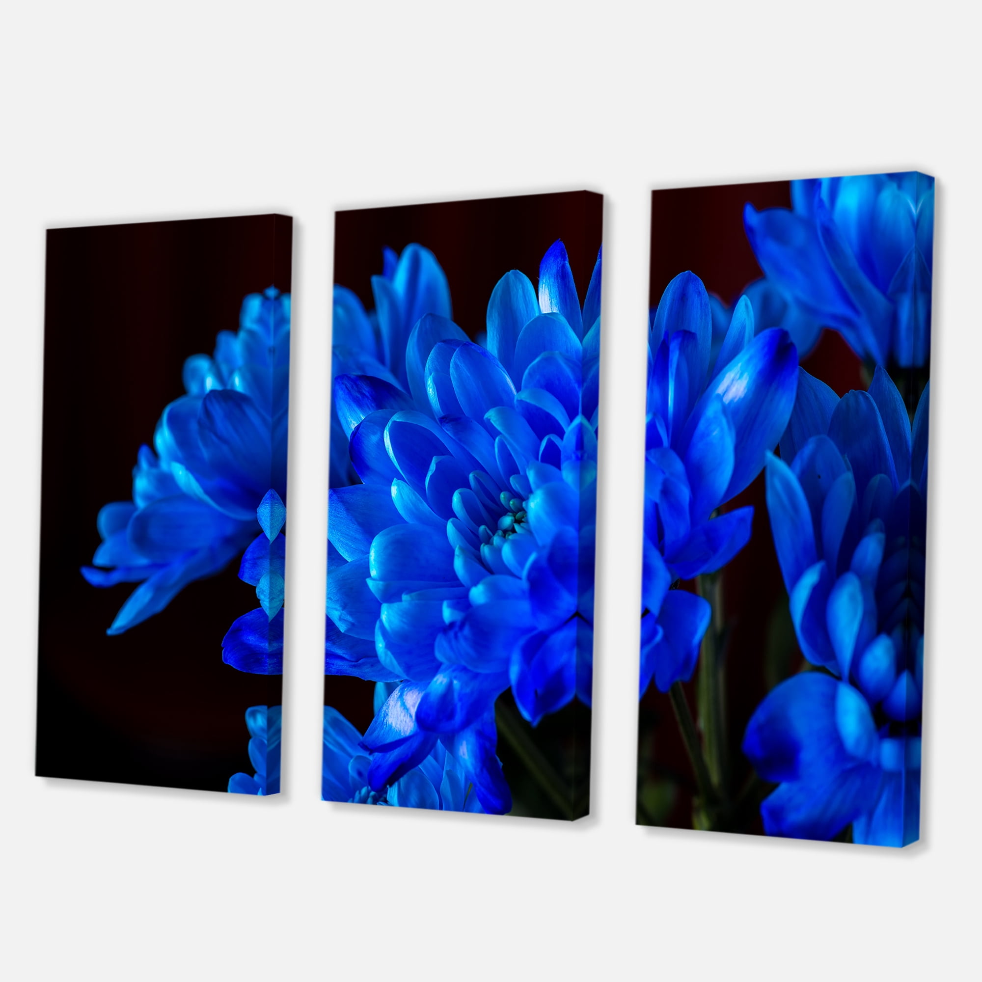 Blue Chrysanthemum Flowers On Black Backround 28 in x 36 in Photography Canvas Art Print, by Designart