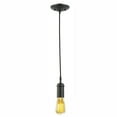 thumbnail image 1 of Edison 1-Light Matte Black Pendant, 1 of 9