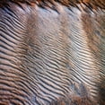 thumbnail image 3 of Hausenflock, Alan 15x15 Black Modern Framed Museum Art Print Titled - Wind Sand and Water III, 3 of 5
