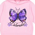 thumbnail image 3 of Inktastic Colorado State Butterfly and Flowers Toddler Hoodie, 3 of 4