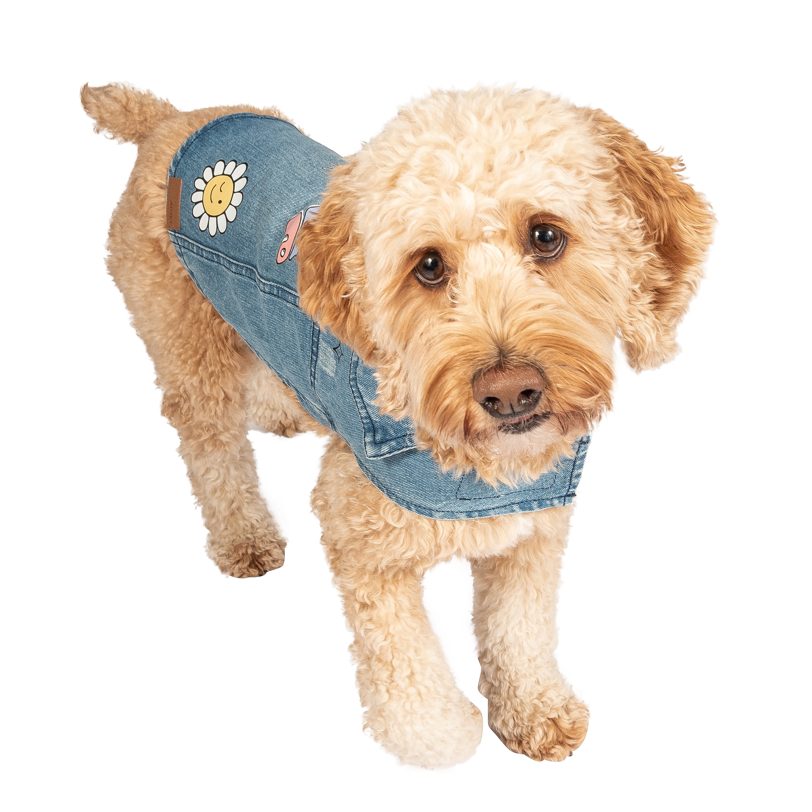 Dog denim sales jacket kmart