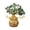 Green, variant on Money Tree Plant Indoor, Money Tree Feng Shui Ornament for Home Decor - Green Aventurine Money Tree with Green Aventurine Stones for Wealth - Desktop Decoration Gift Pink, 1Pcs
