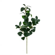 Mainstays 25.5" Indoor Artificial Foliage Stem, Peperomia, Green Color