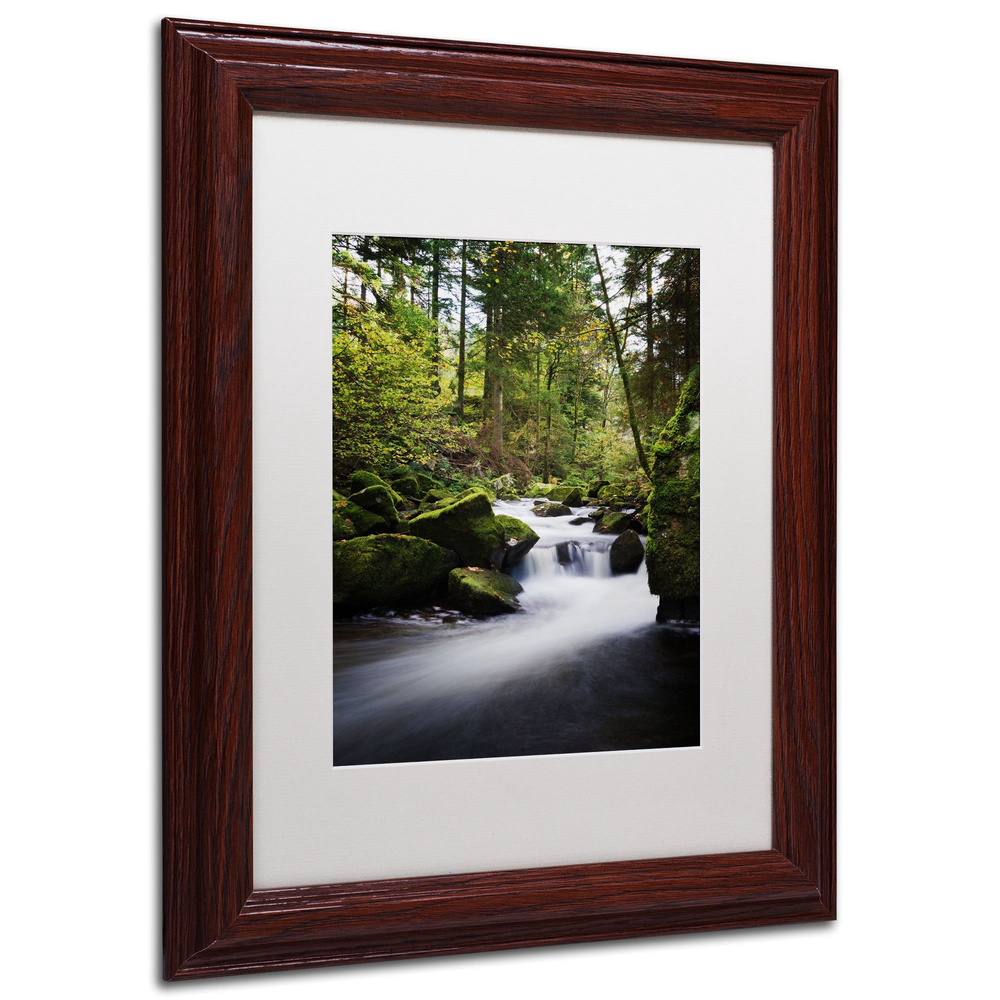 Trademark Fine Art "Still Fall" Canvas Art by Philippe Sainte-Laudy, White Matte, Wood Frame