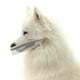 thumbnail image 1 of Bozal para perros Malla transpirable para perros pequeños, medianos y grandes Evita que muerdan Romacci Hocico de malla, 1 of 7