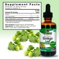 thumbnail image 3 of Ginkgo Biloba 2oz Alcohol Free, 3 of 7