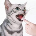 thumbnail image 4 of Cepillo de dientes para mascotas de 3 piezas, cepillo de dientes de perro de dedo de silicona suave, cepillos de dientes de dedo de goma natural para limpiar los dientes de perros y gatos, 4 of 4