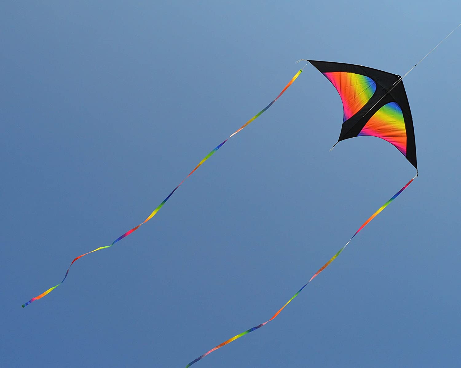 with Long Kite String Extremely Easy to Fly for Beach and Outdoor Activities Best Kite for Beginner  Large Triangular Kite for Kids & Adults 
