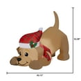 thumbnail image 3 of Christmas Airblown Yellow Lab, 3 of 6