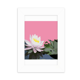 thumbnail image 1 of Marco de Fotos de Escritorio Lilium thailanensis Blanco 5x7 pulgadas, 1 of 4