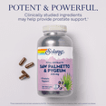 thumbnail image 4 of Solaray Pygeum and Saw Palmetto Berry Extracts | Mens Health & Prostate Function Support | Zinc, B-6, Pumpkin Seed & Amino Acids | 240 VegCaps, 4 of 7