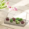 thumbnail image 2 of MyGift Vintage Style Brass Metal and Clear Glass Mirrored Jewelry Display Box, 2 of 3