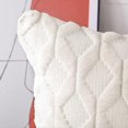 thumbnail image 3 of Soft Plush Short Wool Velvet Decorative Pillow Covers, Style, Cushion Cover for Sofa, Bedroom, Set of 2, 3 of 5
