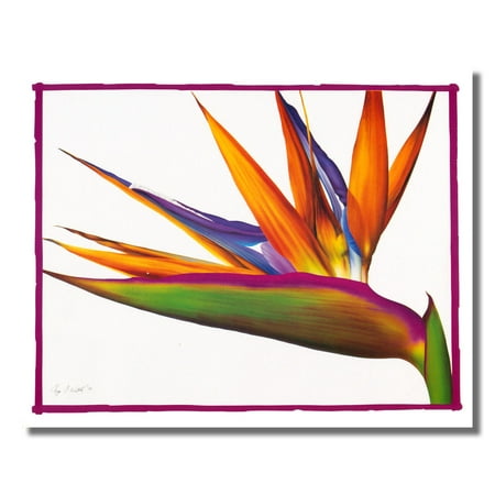 - Bird Of Paradise Floral Flower Arrangement Wall Picture 8x10 Art Print