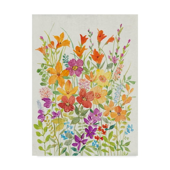 Trademark Fine Art 'Hot Summer Mix I' Canvas Art by Tim OToole