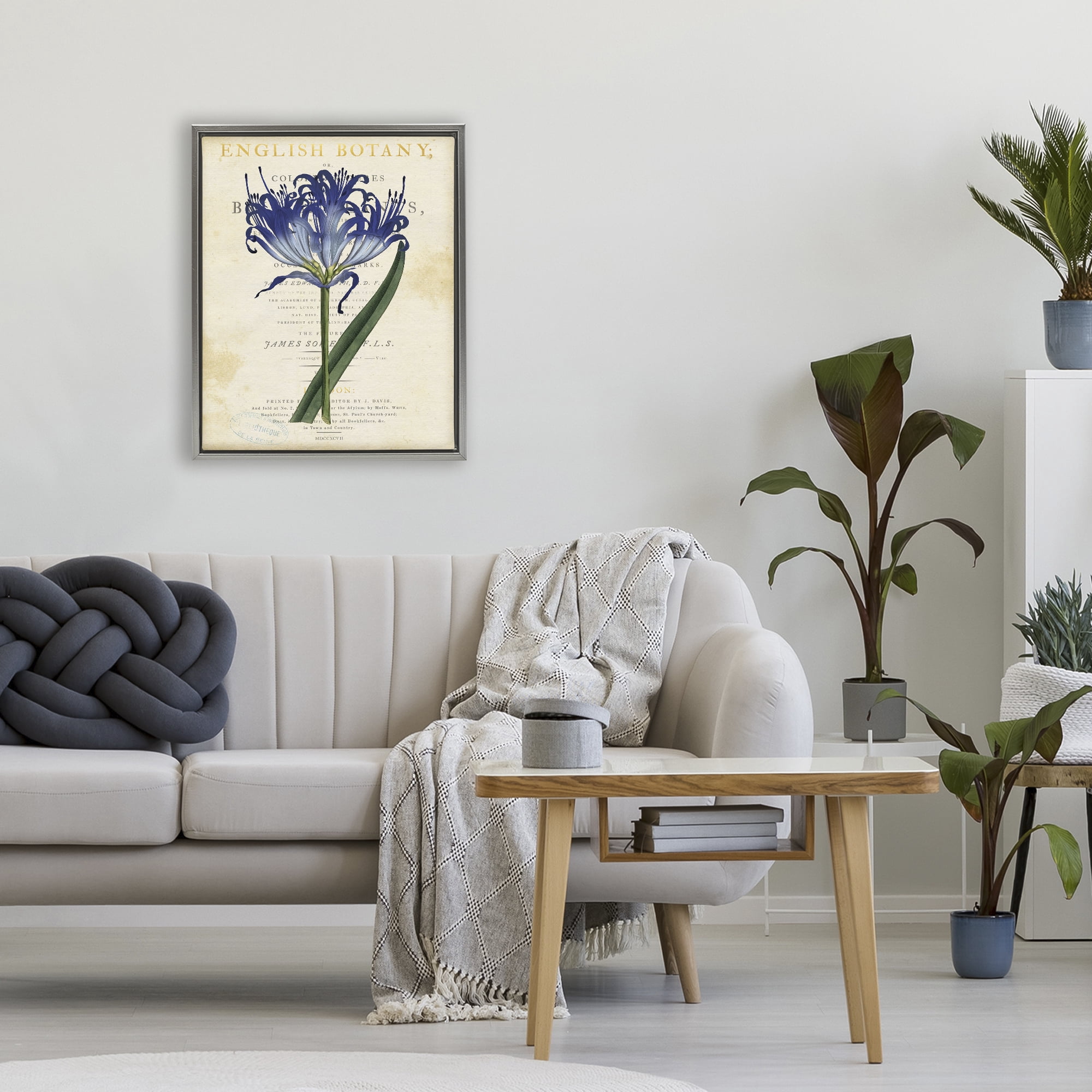 Stupell Industries English Botany Blue Floral Gray Framed Floater Canvas Wall Art, design by Susan Arnot