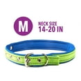 thumbnail image 4 of Vibrant Life Metal & Nylon Safety Dog Collar, Blue, Medium, 4 of 7