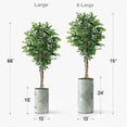 thumbnail image 4 of Artificial Tree in Modern Planter, Fake Ficus Silk Tree for Indoor and Outdoor Home Decoration - 66" Overall Tall (Plant Pot Plus Tree), 4 of 5