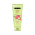 thumbnail image 1 of Mascarilla facial Freeman, gel calmante de sandía y aloe, 180 ml, 1 of 9