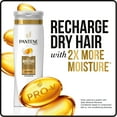 thumbnail image 2 of Pantene Pro-V Daily Moisture Renewal Detangling Shampoo, 20.1 fl oz, 2 of 6