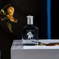 thumbnail image 3 of Knight Cologne Eau De Toilette Spray For Men, Refreshing And Lasting Ocean Peppermint Scent, Birthday Dating Perfume Gift For Men, 3 of 4