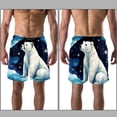 thumbnail image 3 of luoweisi Men's Beach Shorts Quick Dry Swim Trunks with Mesh Lining Galaxy Polar Bear XL, 3 of 5