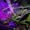 thumbnail image 4 of Luz de cultivo LED, lámpara de cultivo de plantas con clip de espectro completo Temporizador de encendido / apagado automático para plantas de invernadero Flores Suculentas vegetales Crecimiento en ma Muyoka Hogar, 4 of 6