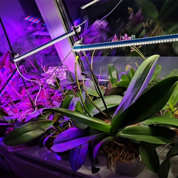 Grow lights for indoor plants walmart deals