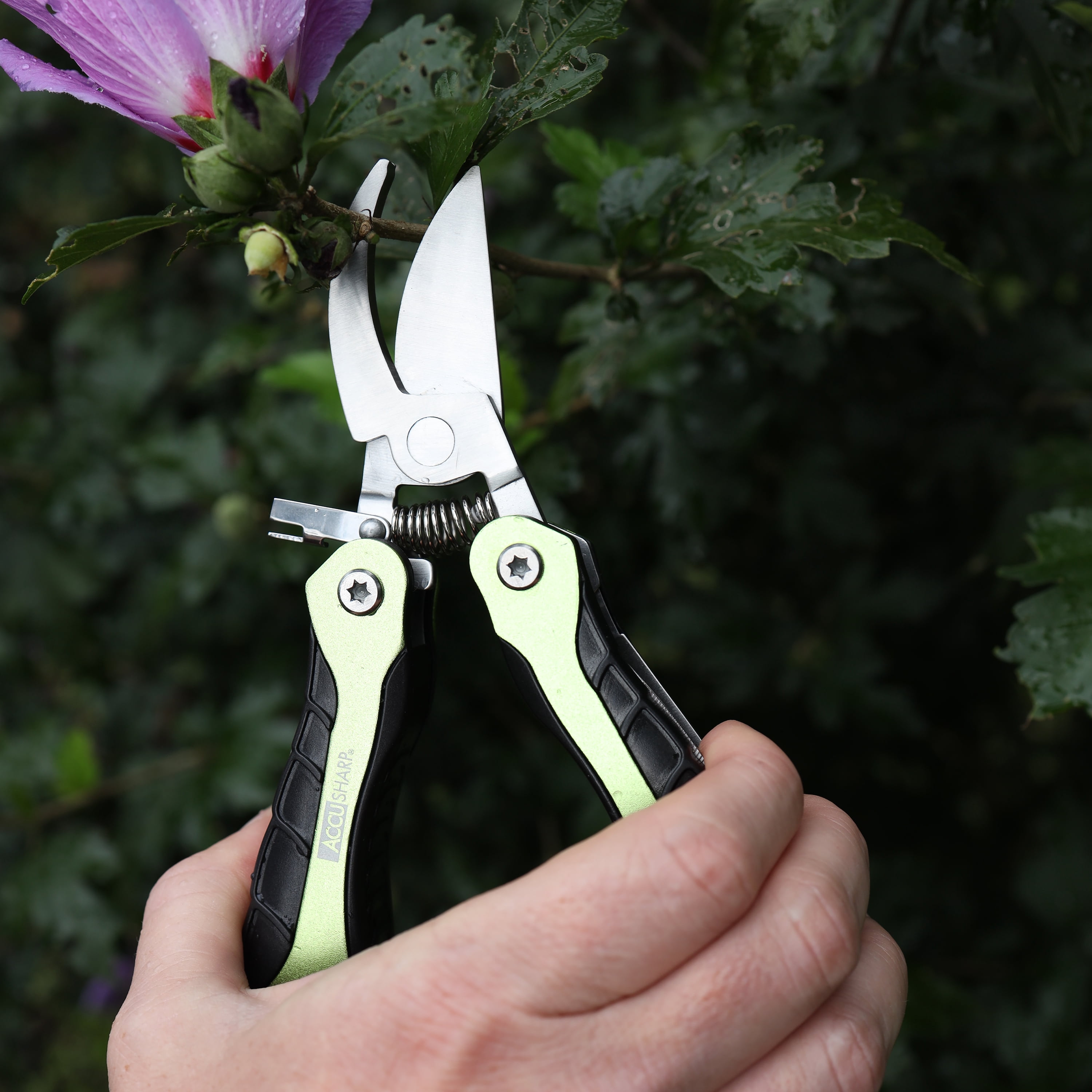 AccuSharp Gardener's Multi-Tool