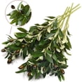 thumbnail image 5 of 5pcs Olive Branch Artificial Plants Greenery Stems Faux Olive Branches for Vases (Green), 5 of 5