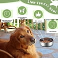 thumbnail image 3 of Slow Feeder Insert,Slow Feeding Dog Bowl Insert with Strong Suction Cup Cuttable Food Slow Feeder Insert for Small Medium Large Dog Bowls, 3 of 7