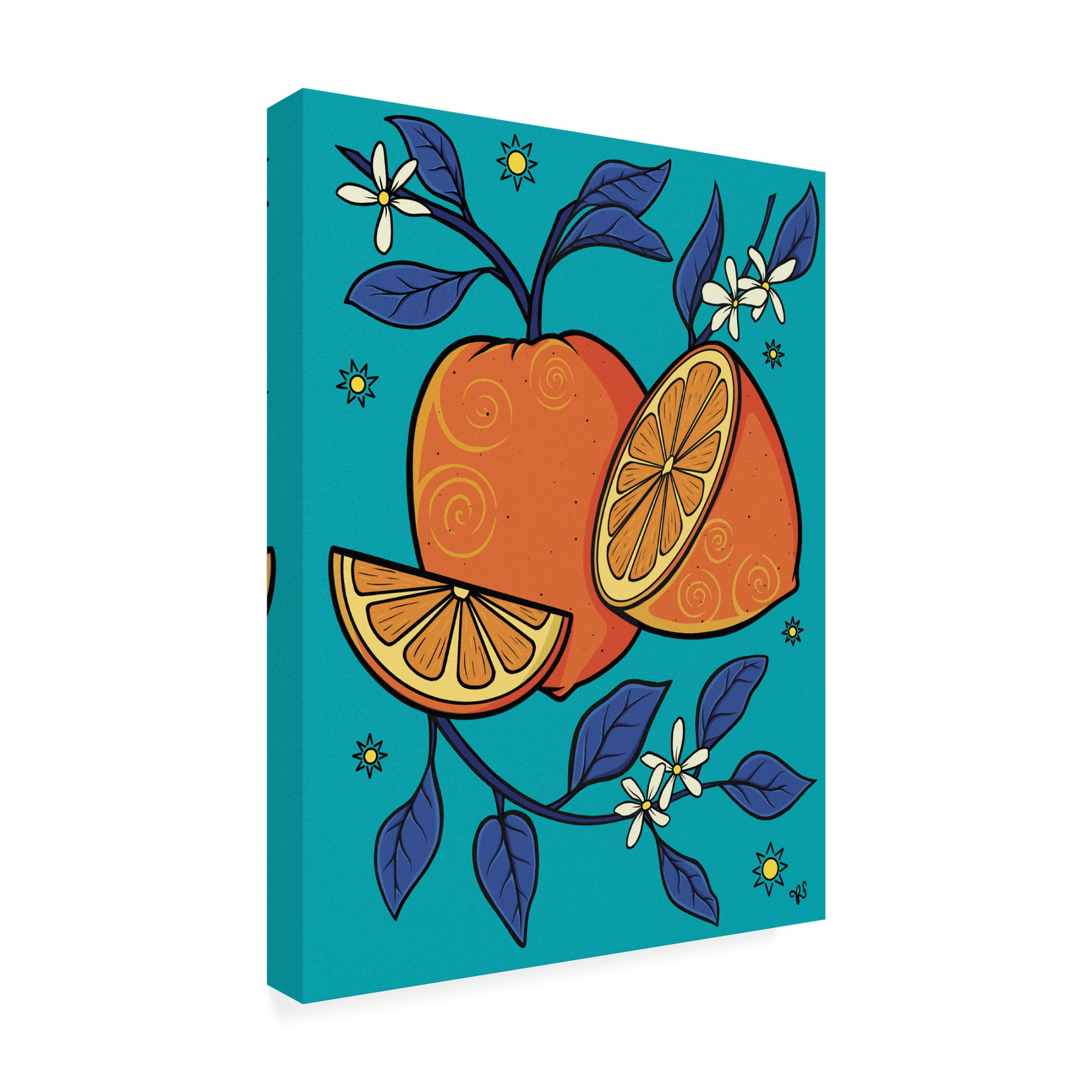 Canvas Wall Art - Rachel Feirman 'Oranges' Wall Art for Living Room, Bedroom, or Office Décor by Trademark Fine Art - 35 x 47 Inches