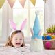 thumbnail image 5 of Gnomos De Conejito De Pascua, Decoraciones De Muñecos Sin Rostro De Peluche, Adornos De Decoración De Duende Para El Hogar, Decoraciones De Vacaciones seitruly FN005508-00, 5 of 6