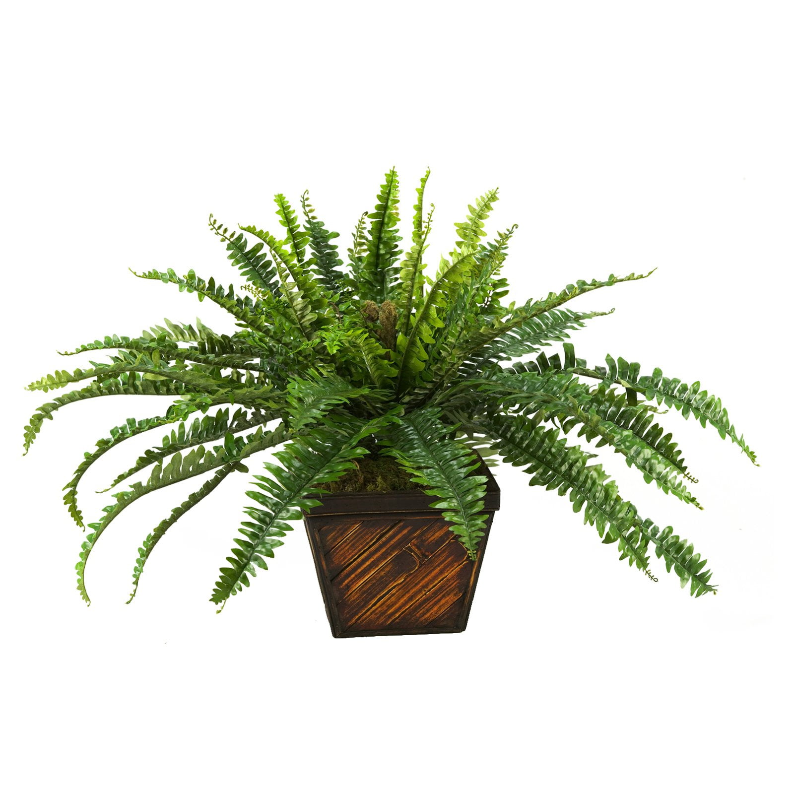 Dw Silks D And W Fern Bamboo Silk Plant D W Silks And Fern Bamboo Silk Plant