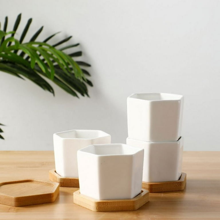 Succulent Pots, White Mini Ceramic Flower Planter Pot with Bamboo Tray -  Plants Not Included