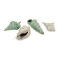 thumbnail image 2 of Sea Shells Collection - Set of 4, 2 of 2