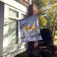 thumbnail image 2 of Carolines Treasures CK3582CHF Border Terrier Welcome Flag Canvas House Size, 2 of 4