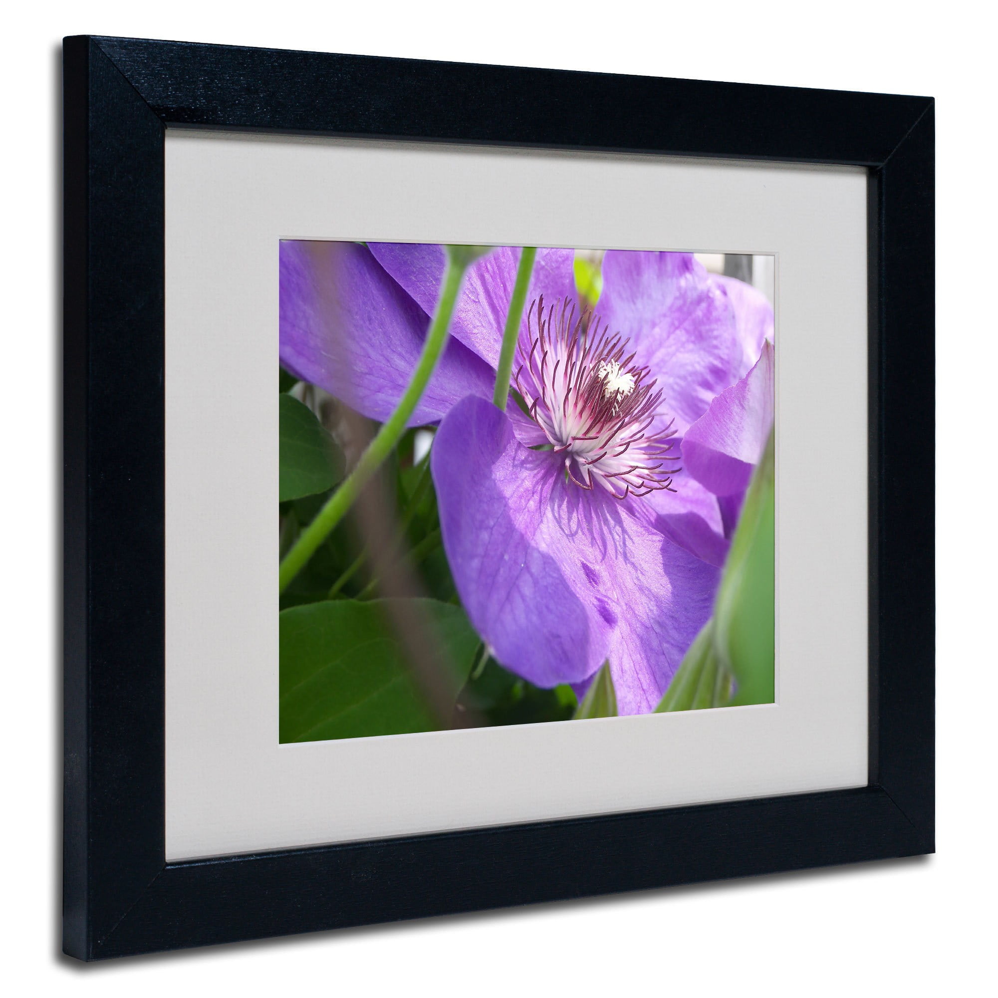 Trademark Fine Art "Meaningful Bliss" Canvas Art by Monica Fleet, White Matte, Black Frame