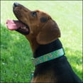 thumbnail image 2 of Country Brook Petz® Premium Flamingos Dog Collar, Medium, 2 of 7