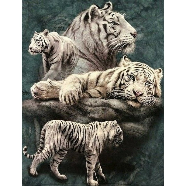 walmart tiger shirt